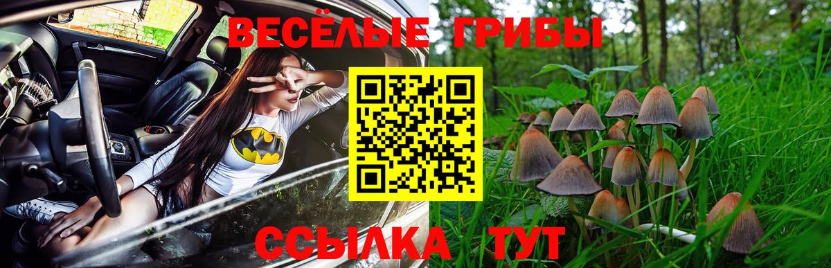 Галлюциногенные грибы прущие грибы Нижнеудинск